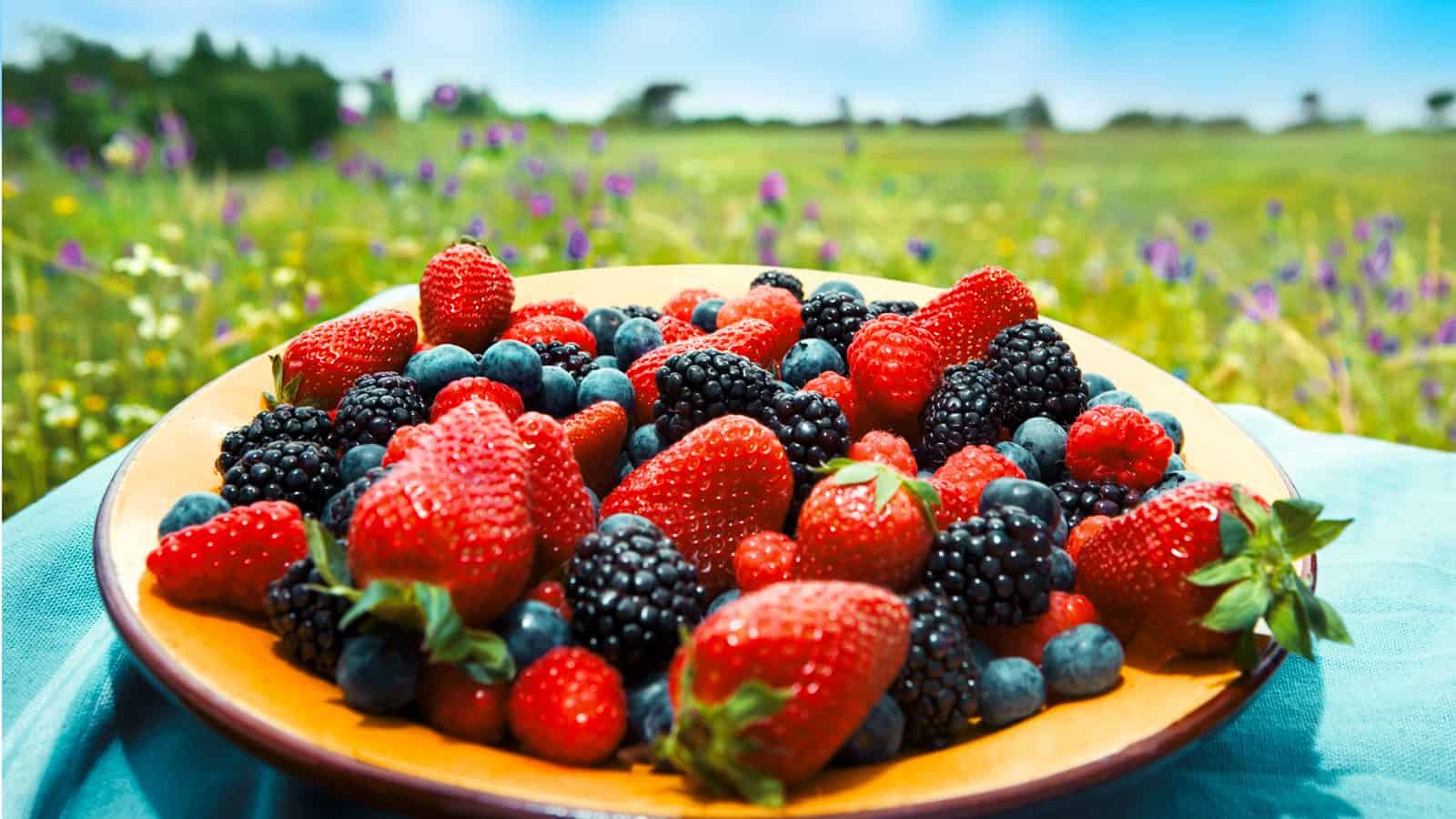This Is Why You Should Eat Berries Daily Nutrition Tips